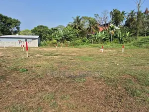 Paddy Field Facing 15 P Bare Land for Sale - Malabe