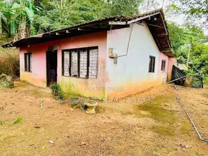 නිවාස 2 ක් වටිනා ගස් රාශියක් සම්ඟ පර්චස් 53