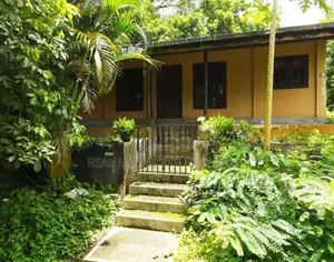 Galle : 458 perches Tea Land with Factory for Sale