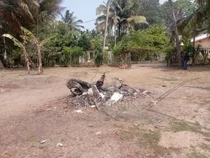 10Perch Land For Sale Bandarawaththa Seeduwa Gampaha