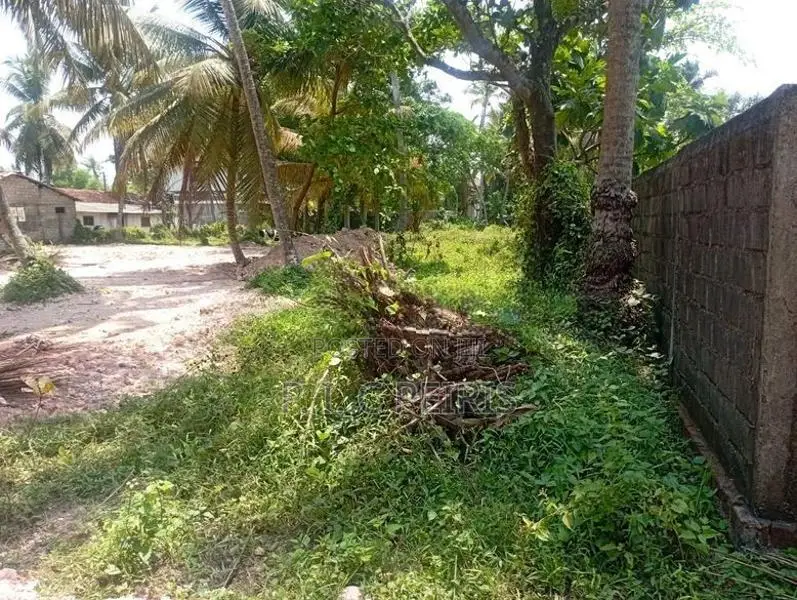 21 Perch Land For Sale Akkarapanaha Negombo Gampaha