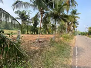 170 P Residential Land Facing Main Rd Paddy field