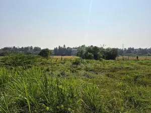 Paddy Field Facing 15 P Bare Land for Sale - Malabe