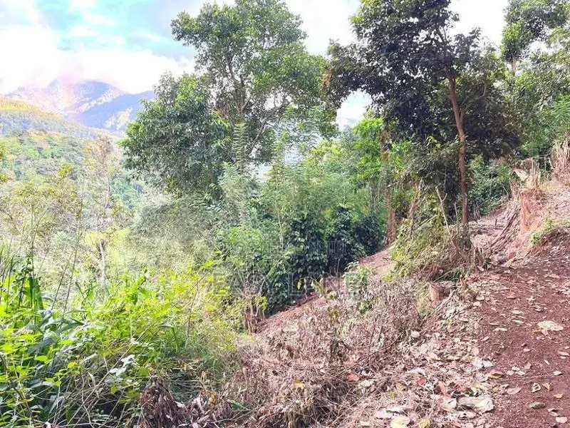 Land for Sale in Kandy