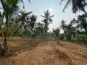 170 P Residential Land Facing Main Rd Paddy field