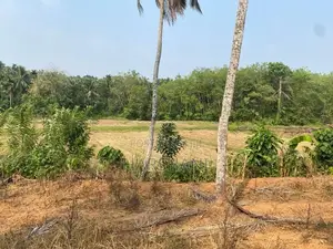 170 P Residential Land Facing Main Rd Paddy field