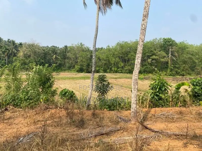 170 P Residential Land Facing Main Rd Paddy field
