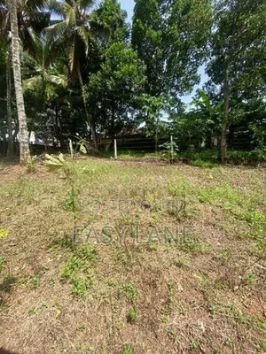 දිගුකාලීන ආයෝජනයකට අතිශය වටිනා අවස්ථාවක්