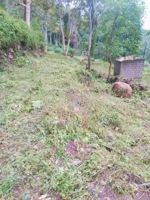 Land for Sale in Haputhale