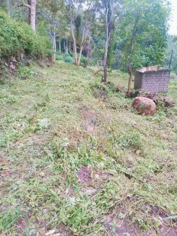 Land for Sale in Haputhale