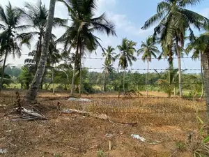 170 P Residential Land Facing Main Rd Paddy field