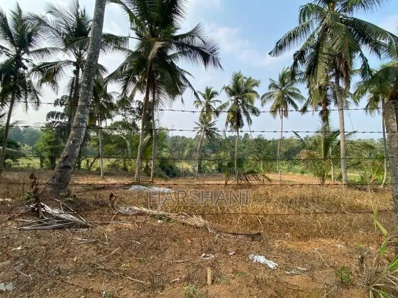 170 P Residential Land Facing Main Rd Paddy field