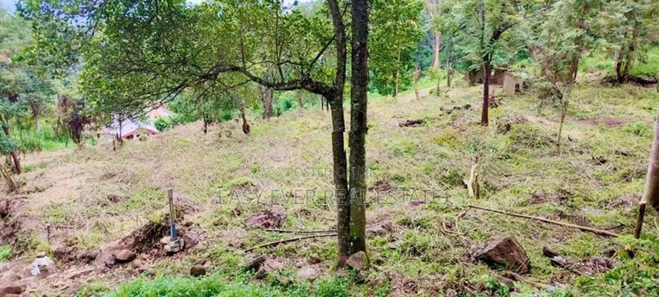 Land for Sale in Haputhale