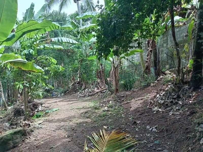 Dodangoda : 20 perches Commercial Land for Sale