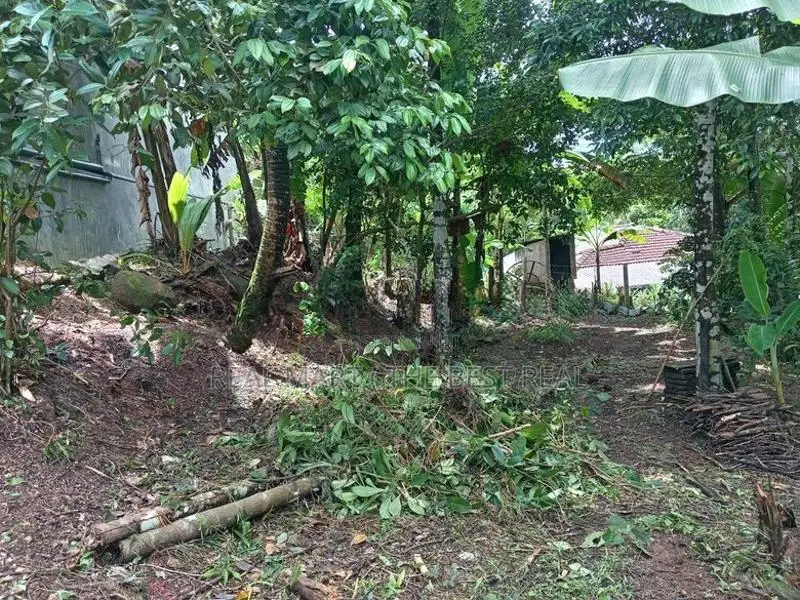 Dodangoda : 20 perches Commercial Land for Sale