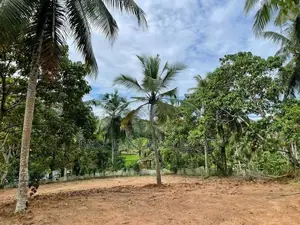 Kirindiwela වටිනා ඉඩමක්