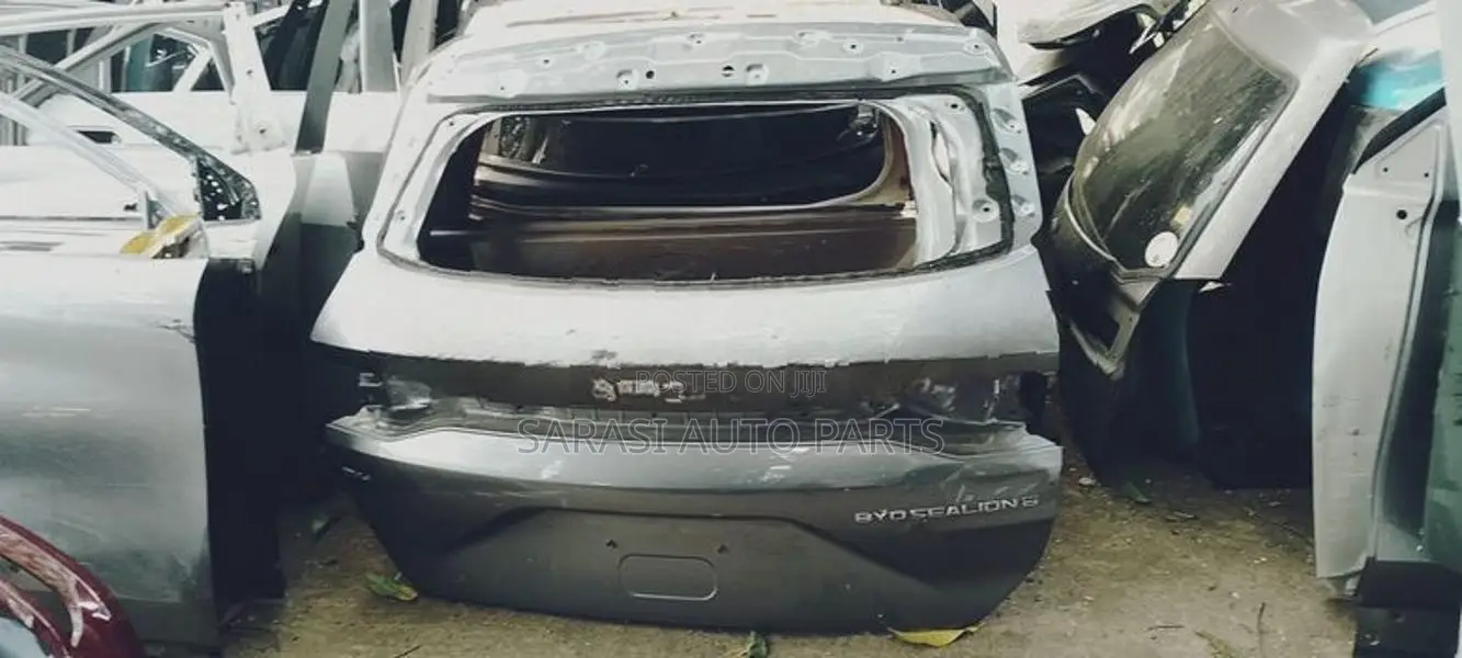 BYD Sealion 6 Dicky Door Panel