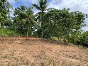 Kirindiwela වටිනා ඉඩමක්