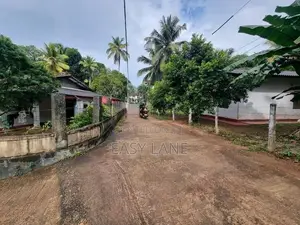 හයිවේ එකට විනාඩි 10ක දුරින් වටිනා ඉඩමක්