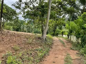 Kirindiwela වටිනා ඉඩමක්