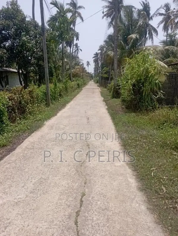 21 Perch Land For Sale Akkarapanaha Negombo Gampaha