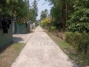 21 Perch Land For Sale Akkarapanaha Negombo Gampaha