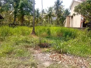 21 Perch Land For Sale Akkarapanaha Negombo Gampaha