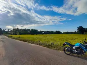 Paddy field Facing Land For Sale Kadawatha කඩවත