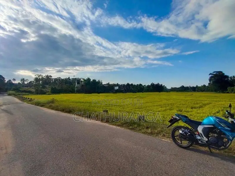 Paddy field Facing Land For Sale Kadawatha කඩවත