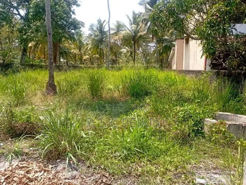 21 Perch Land For Sale Akkarapanaha Negombo Gampaha