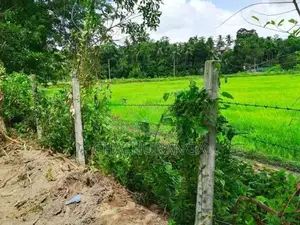 Paddy field Facing Land For Sale Kadawatha කඩවත