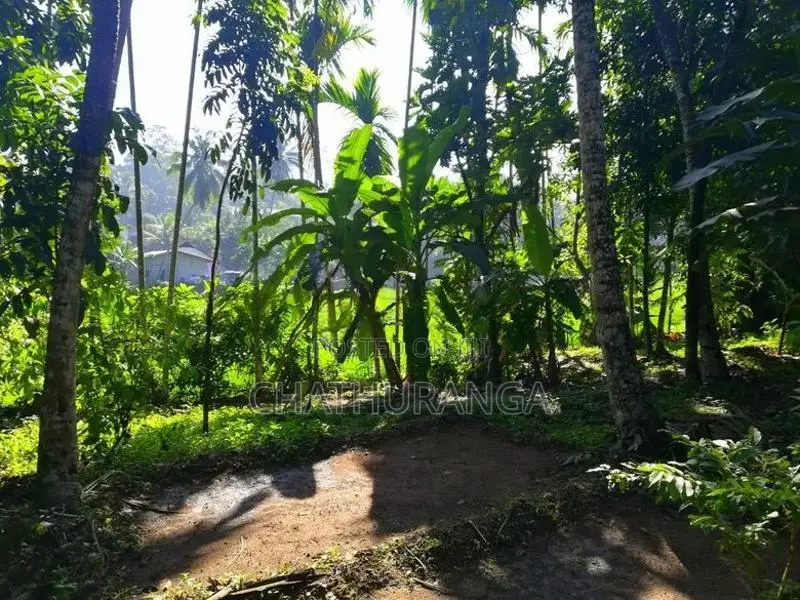 Paddy field Facing Land For Sale Kadawatha කඩවත