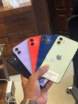 Apple iPhone 12 128GB (Used)