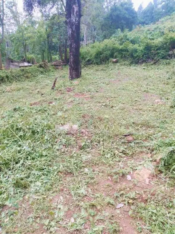 Land for sale in Haputhale
