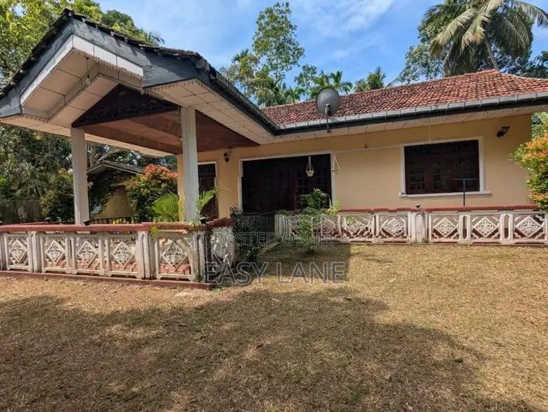 ආදායම් ලබන පොල් ඉඩමක්