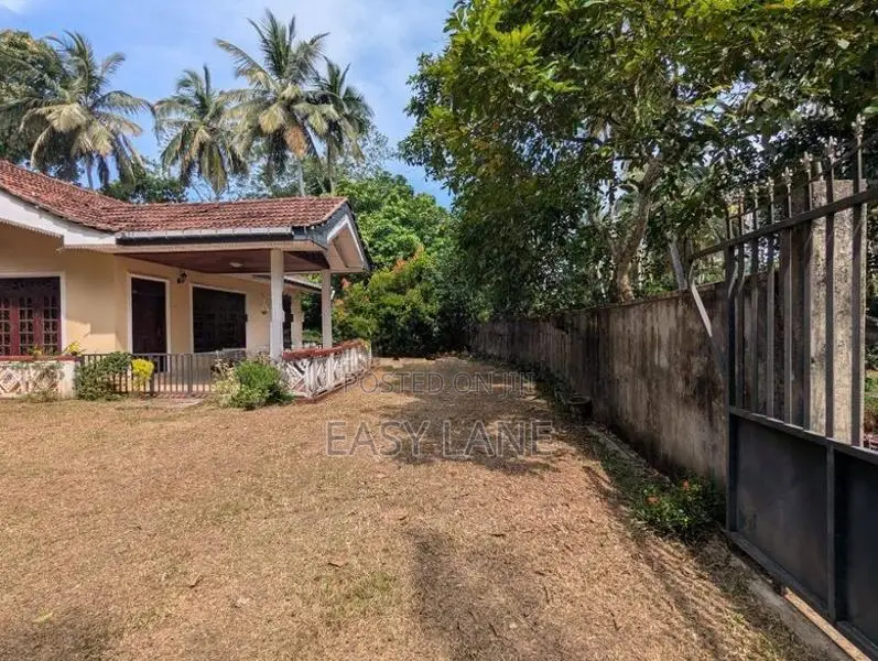 ආදායම් ලබන පොල් ඉඩමක්