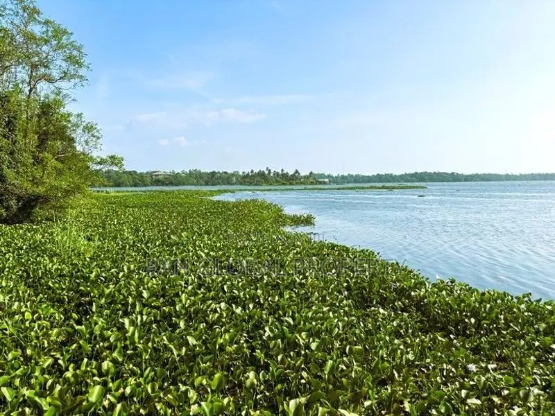 Water Front Land For Sale in Piliyandala