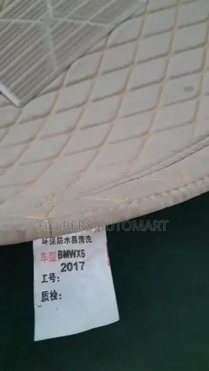 BMW X5 Carpet
