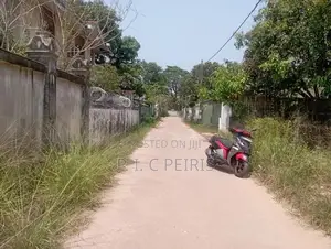 Land For Sale Akkarapanaha Negombo Gampaha