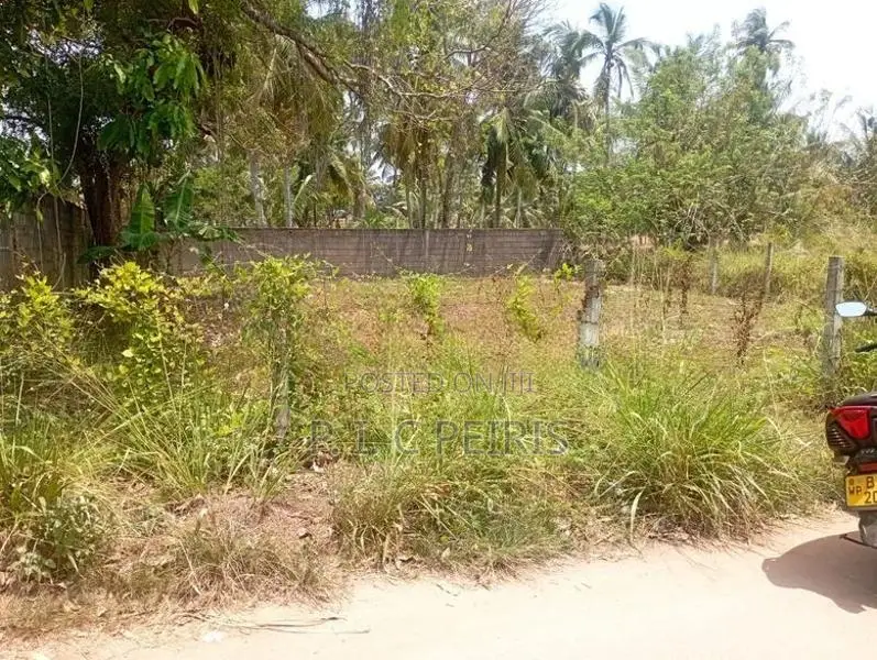 Land For Sale Akkarapanaha Negombo Gampaha