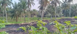 8 .5 Perch super Flat rectangular Land for sale in Athurugiriya