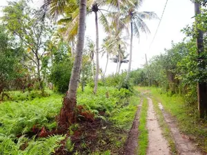 Land for Sale in Bopitiya