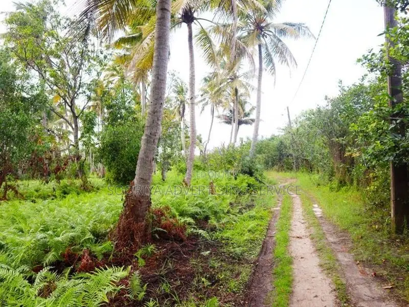 Land for Sale in Bopitiya