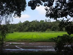 Batuwatta Land for Sale