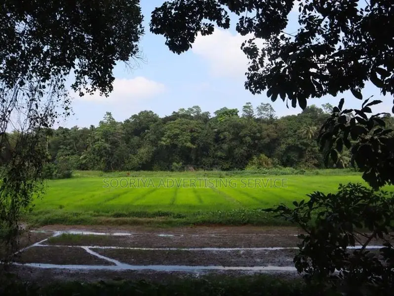 Batuwatta Land for Sale
