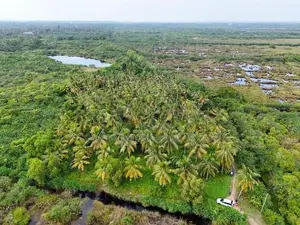 Land for Sale in Bopitiya