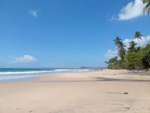 Sea View Property for Sale in Dickwella