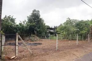 Land for Sale in Diyagama