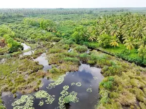 Land for Sale in Bopitiya