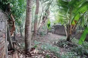Land for Sale in Boralesgamuwa